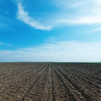 black plowed field and cloudy sky