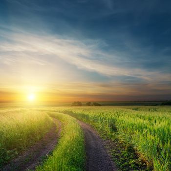 sunset over dirty road in green fields