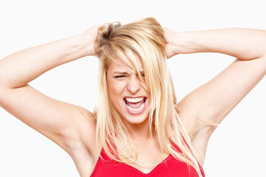 angry, frustrated girl with hands in her hair screaming - isolated on white