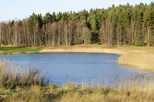 small lake in the woods one fine autumn day