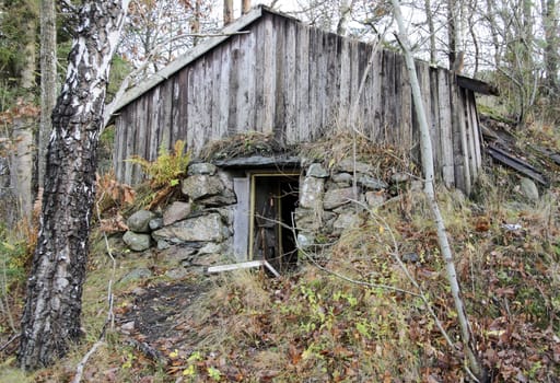 Old cellar heart of nature