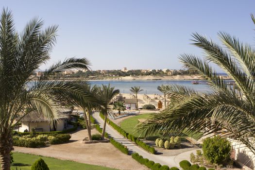 Palm trees and buildings in Egypt with sea and beach in the background 