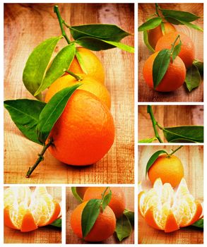 Collection of Fresh Ripe Tangerines Full Body and Lobules with Green Leafs closeup on Rustic Wooden background