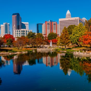 charlotte city skyline autumn season with blue sky