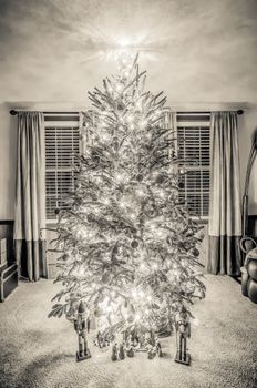 decorated christmas trees in home