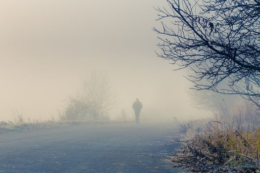 A person walk into the misty foggy road in a dramatic sunrise scene with abstract colors