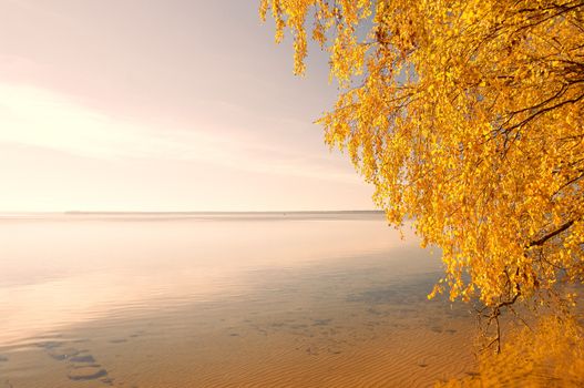 autumn landscape - very beautiful view