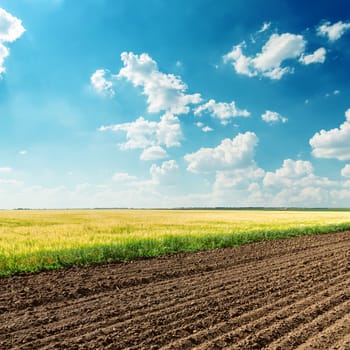 agriculture fields under deep blue cloudy sky