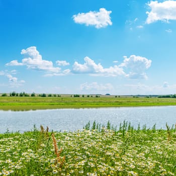 river in green grass under cloudy sky