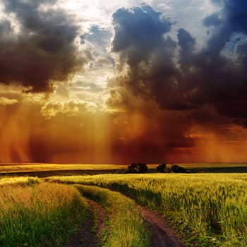 dramatic cloudy sky over road in green field