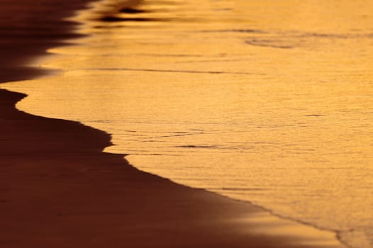 Smooth wave on the sandy beach in the evening