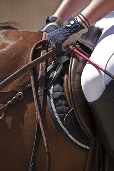 Detail of saddle and leads a Spanish purebred horse, Spain