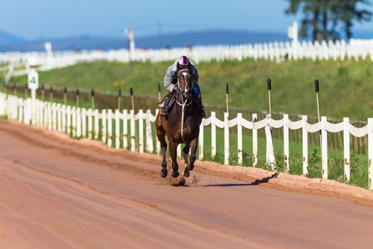 Jockey riding focusing on race horse galloping on sand track training