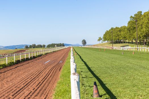 Sand and Grass Tracks for race horses training.