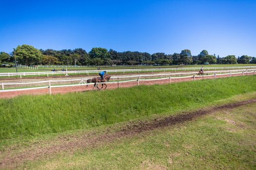 Jockey riding focusing on race horse galloping on grass track training