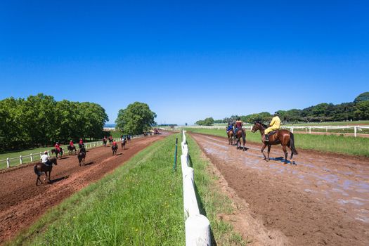 Jockey Grooms riding race horses on sand grass tracks training
