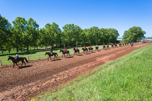 Race Horses ridden by Grooms going back to stables after early morning training