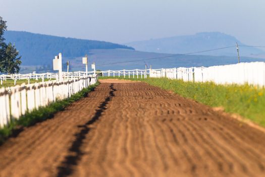 Sand track with grooves prepared for race horse training