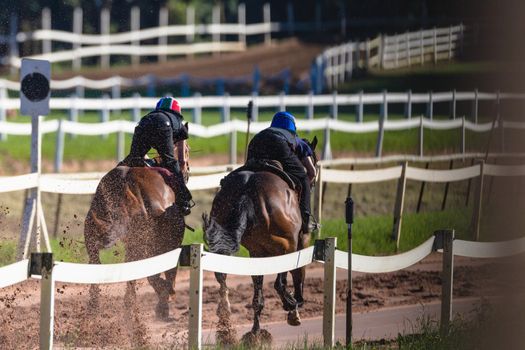 Jockeys riding together focusing on race horse galloping on sand track training
