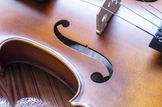 string instrument "violin" on wood background