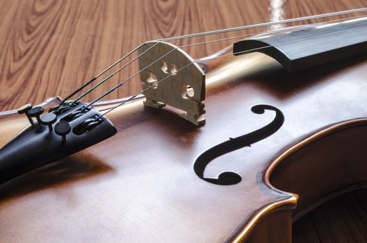 string instrument "violin" on wood background