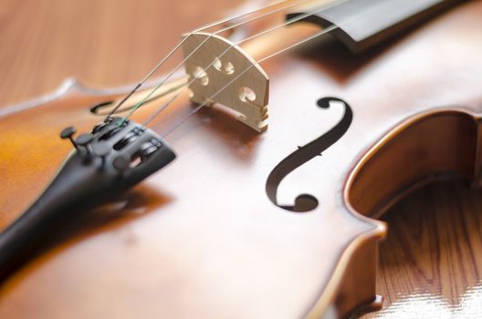 string instrument "violin" on wood background
