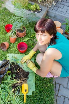 happy smiling middle age woman gardening, offsets the flowers in a pot
