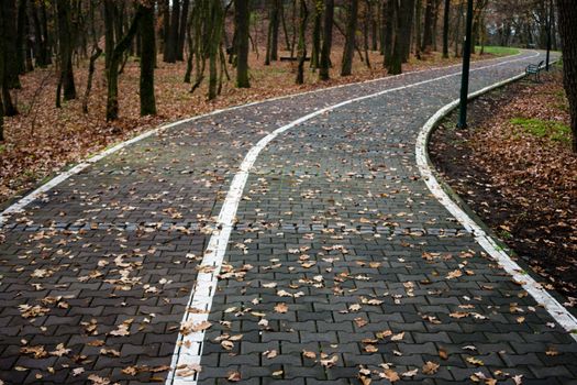 Road in autumn coverd with leafs