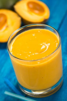 Milkshake made of the Peruvian fruit called lucuma (lat. Pouteria lucuma) served in glass with lucuma fruits in the back (Selective Focus, Focus one third onto the top of the milkshake) 