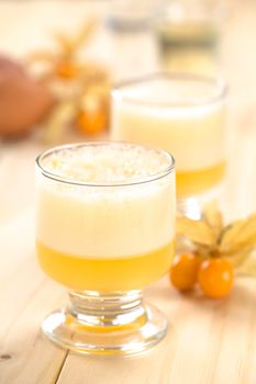 Peruvian cocktail called Aguaymanto Sour (Physalis Sour) prepared from physalis juice, pisco (Peruvian grape hard liquor), syrup and egg white (Selective Focus, Focus on the front of the glass rim and the froth) 