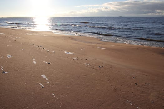 Beautiful snowy sunlit beach. Nice natural background