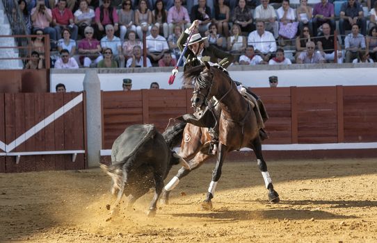 Pozoblanco, Cordoba province, SPAIN - 25 september 2011: Spanish bullfighter on horseback Diego Ventura bullfighting on horseback, with the sword of death to kill the bull, in Pozoblanco, Cordoba province, Andalusia, Spain