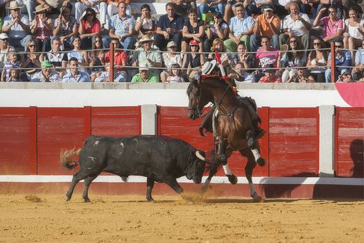 Pozoblanco, Cordoba province, SPAIN - 25 september 2011: Spanish bullfighter on horseback Diego Ventura bullfighting on horseback, bull chases the horse riding laterally to the edge of the burladero, the public is surprised by the maneuver of the bullfighter, in Pozoblanco, Cordoba province, Andalusia, Spain