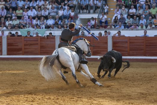 Pozoblanco, Cordoba province, SPAIN - 14 august 2011: Spanish bullfighter on horseback Leonardo Hernandez putting the bull banderillas in Pozoblanco, Cordoba province, Andalusia, Spain