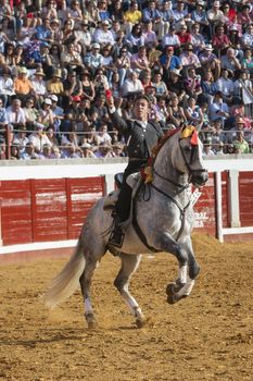 Pozoblanco, Cordoba province, SPAIN - 14 august 2011: Spanish bullfighter on horseback Leonardo Hernandez putting the bull banderillas in Pozoblanco, Cordoba province, Andalusia, Spain