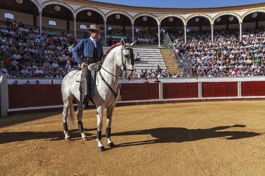 Pozoblanco, Cordoba province, SPAIN - 25 september 2011: Spanish bullfighter on horseback Pablo Hermoso de Mendoza Starting the paseillo to begin the celebration in Pozoblanco, Cordoba province, Andalusia, Spain