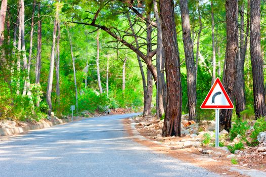 road in the woods and the sign of rotation