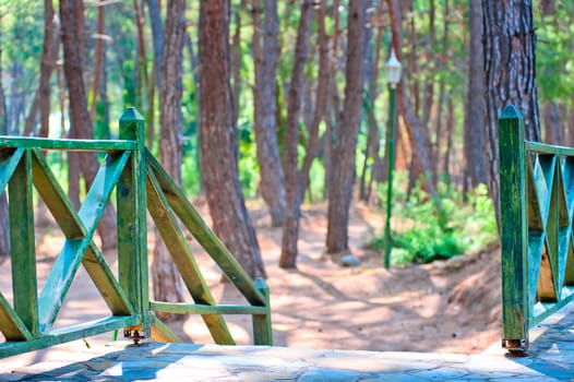 banister staircase leading down to the park