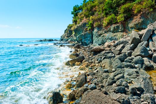 sea ​​wave rolls on a rocky shore