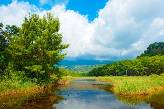 beautiful summer landscape and clouds