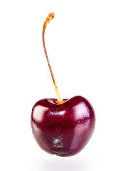 ripe cherry with an elegant wand