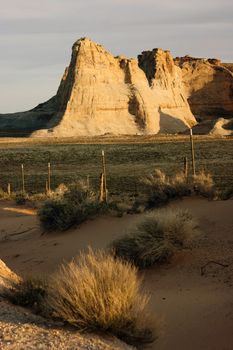Vertical composition desert southwest landscape sandstone rock foramtion 