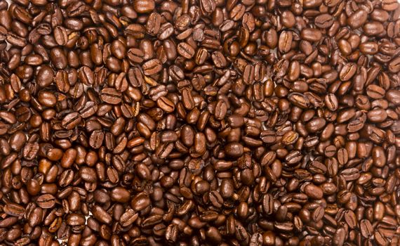 a flat pile group of roasted dark brown coffee beans