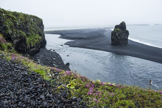 Black volcanic sand on the south coast of Iceland