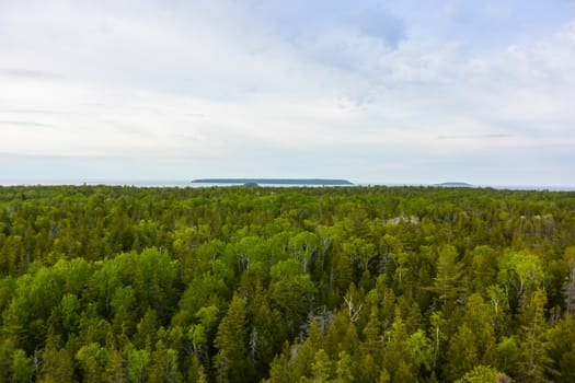 Colorful spring landscape with forest and clouds