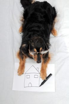 One Female Old Black Dog Drawing on a White Paper