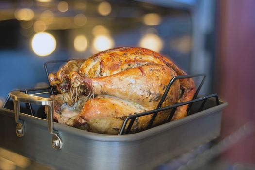 Turkey Cooked Brined and Seasoned with Spices in Roasting Pan for Thanksgiving Dinner with Blurred Oven Background
