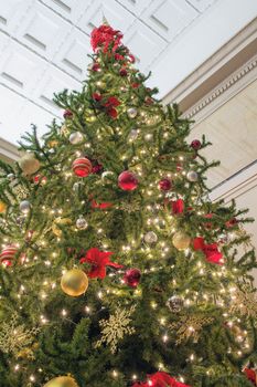 Christmas Tree Decoration Tall Perspective with Lights Ornaments Ribbons Poinsettia and Tree Topper