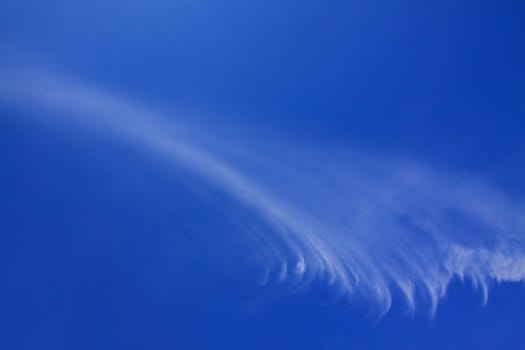 Elegant blue skies background with light cirrus cloud