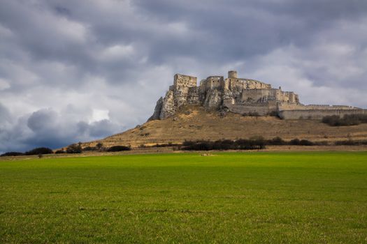 Ruins of the largest medieval castle in central Europe, Spi�� Castle in eastern Slovakia, UNESCO world heritage